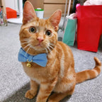 2 Pack Soft Corduroy Cat Collars - Image 4