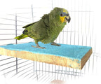 Litewoo Bird Perch Grinding Stand - Image 7