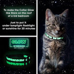 Pawtitas Glow in The Dark Cat Collar - Image 3