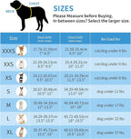 AIITLE Easy Walk Dog Harness and Leash Set - Image 6