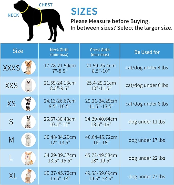 AIITLE Dog Harness, No-Pull Cat Harness - Image 5