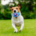 Puppy Chew Toys, Durable Fabric Soft Heavy Duty Dog Toy - Image 4