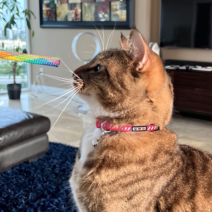 Pawtitas Personalized Black Reflective Cat Collar – Adjustable Custom Collar - Image 9