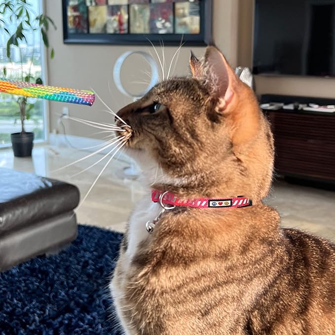 Pawtitas Personalized Blue Reflective Cat Collar – Adjustable Custom Collar - Image 9
