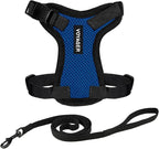 Voyager Escape-Proof Step-In Lock Cat Harness & 5ft Neoprene-Handle Leash Set by BestPetSuppliesLLC