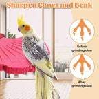 3 Pcs Parrot Perch Resin Bird Beak Grinding Stone Leaf Shape Perch Stand Foot - Image 5