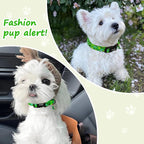 Medium Dog Collars for Male Dogs, Boy Dog Collars - Image 7