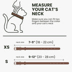 BRONZEDOG Leather Cat Collar - Image 7