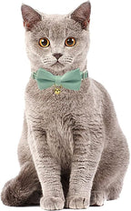 Cotton Breakaway Cat Collar - Image 6