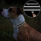 TagME Reflective Nylon Dog Collars, Adjustable Classic Pet Collar - Image 5