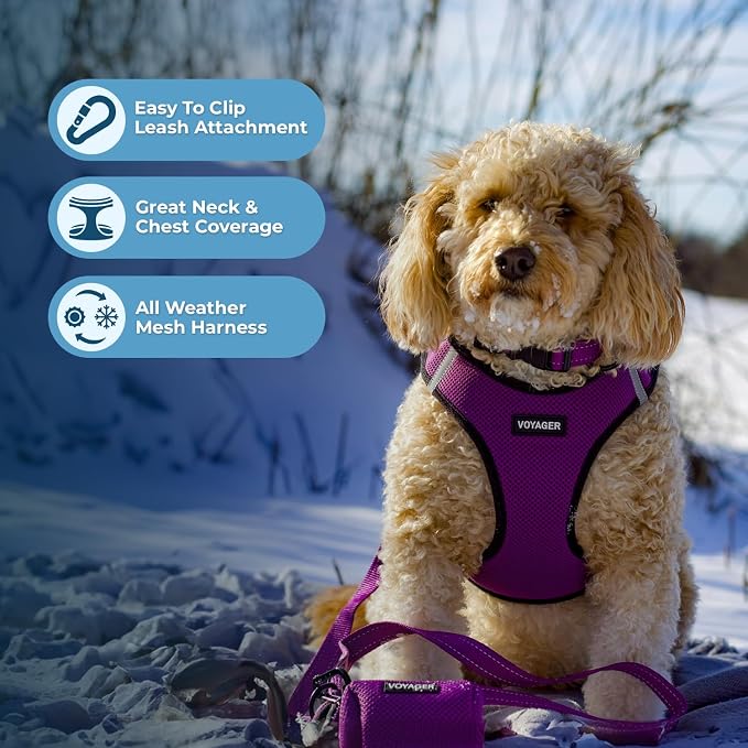 Best Pet Supplies Voyager Step-in Air Harness - Image 3
