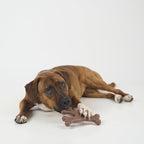 SPOT Bam-Bones Wishbone - Image 6