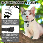 Leather Personalized Breakaway Cat Collar - Image 5