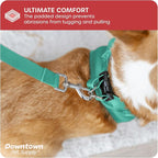 Downtown Pet Supply Step in Dog Harness No Pull, Bermuda Blue - Image 6