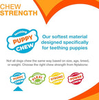 Nylabone Freezer Bone Puppy Chew Toy, Soothing Teething Toys - Image 4