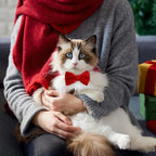 Sliverdew 2 Pcs Velvet Cat Collar - Image 3