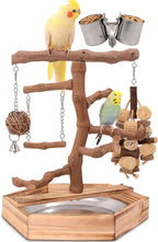 Natural Grape Wood Bird Parakeet Playground by LiMio