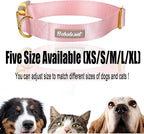 Nylon Dog Collar - Image 6