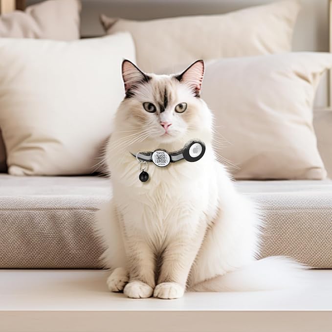 Cat Collar with Name Tag Breakaway: Kitten Collars - Image 6