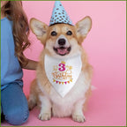 It's My 3rd Birthday Dog Bandana Happy 3rd Birthday Pet Triangle Scarf - Image 6