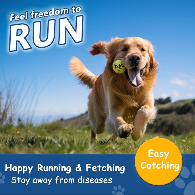 Tennis Balls for Dogs - Image 3