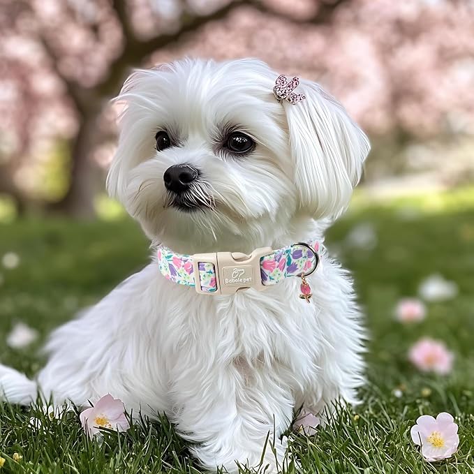 Floral Dog Collar for Large Dogs - Image 4