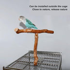 Asixxsix Wood Bird Perch, T Shaped Birdcage Stand Wooden Parrot Perch Stand - Image 2