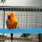 Bird Perches Stand for Cage - Image 6