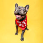 Do Not Pet Dog Bandana GB - Image 2