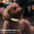 Reflective Dog Collar for Small Dogs, Cute Flower Theme Adjustable Heavy-Duty - Image 3