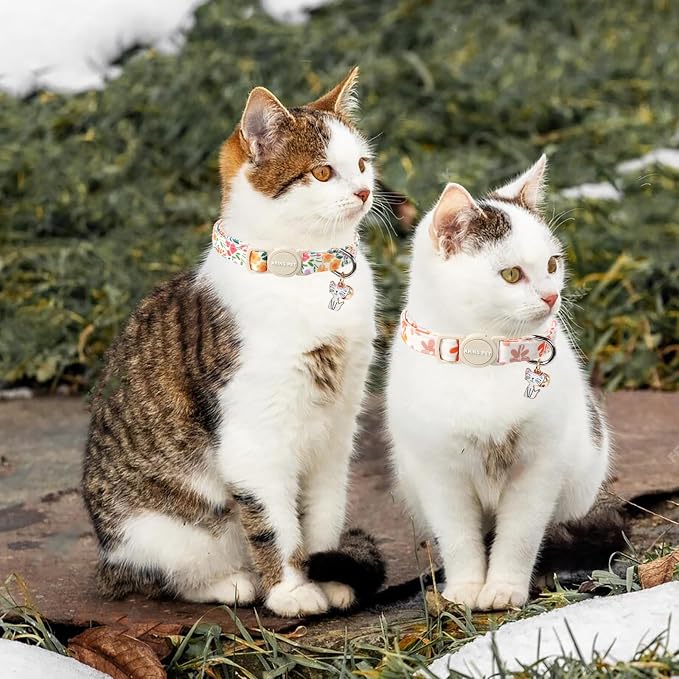 ARING PET 2 Pack Cat Collars-Cute Breakaway Cat Collar - Image 4