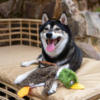 Best Pet Supplies Squeaky Dog Toys - Image 11