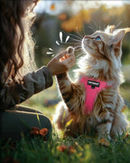 FAYOGOO Cat Harness and Leash Set | Upgrade Step-in Escape Proof Harness | - Image 7