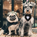 Formal Dog Tuxedo Adjustable Pet Collar - Image 6
