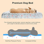 Fluffy Orthopedic Dog Beds for Small Dogs - Image 4
