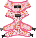 Lucy & Co. Little Lamb Adjustable Dog Collar- Cute Designer Pet Collar by LucyCo