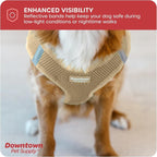 Downtown Pet Supply Step-in Dog Harness – No Pull, Adjustable Padded Mesh - Image 7