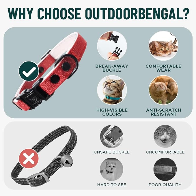 OutdoorBengal Green Breakaway Kitten Collar - Image 3