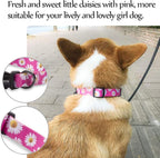 QQPETS Adjustable Soft Dog Collar: Print Flower Pink Multicolor Cute Patterns - Image 9