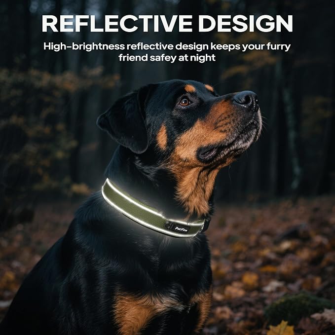 PetiFine Dog Collars for Small Dogs, Neoprene Padded Dog Collar, Reflective - Image 5
