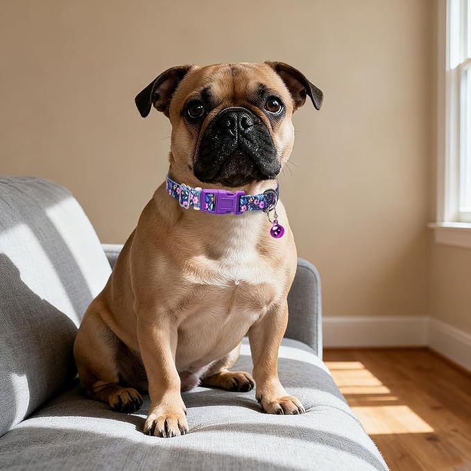 Cute Puppy Collar with Bell-Nylon Dog Collar - Image 4