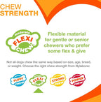 Nylabone Original Bone Flexi Chew Toy Value Pack - Image 4