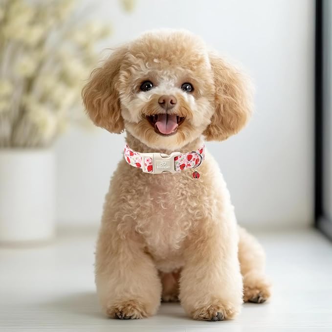 Lucky Ladybug Dog Collar for Medium Dogs - Image 6