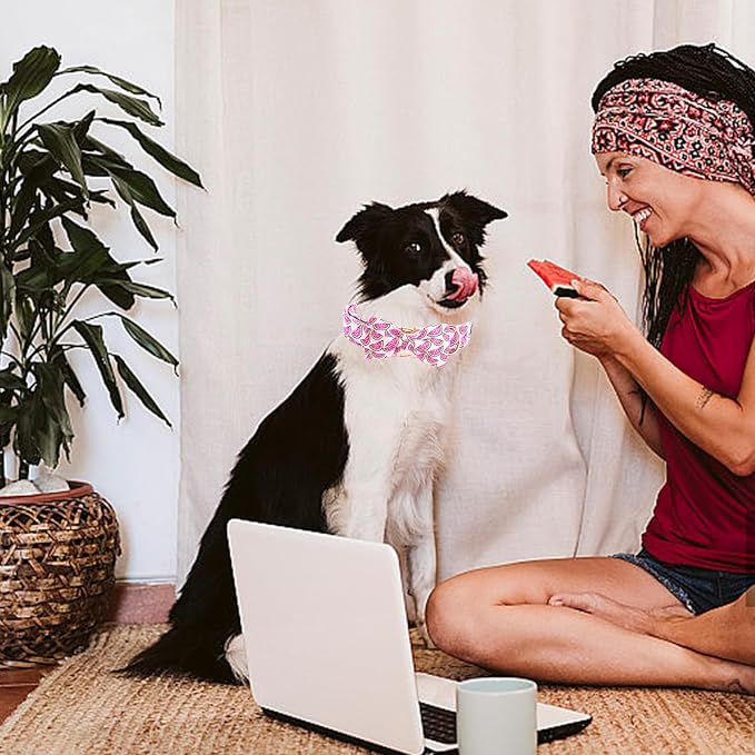 Elegant little tail Dog Collar, Watermelon Print Pet Collar Summer Dog Collar - Image 5