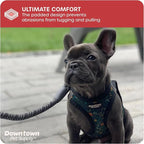 Downtown Pet Supply Step-in Dog Harness – No Pull, Adjustable Padded Mesh - Image 6