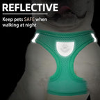 PUPTECK Adjustable Dog Harness Collar and Leash Set Step in No Pull Pet Harness - Image 4