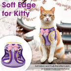 Cat Harness and Leash Set for Walking Escape Proof, Adjustable Kitten Harness - Image 6