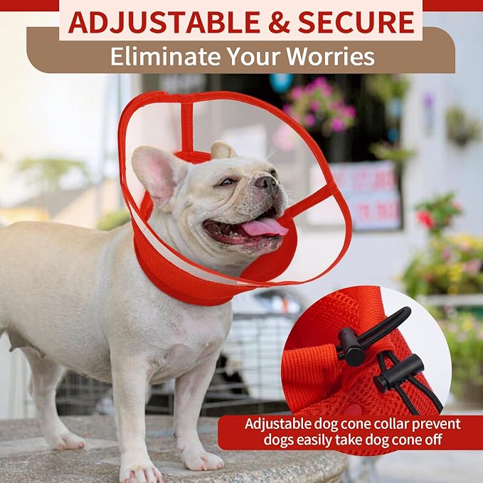 Allroaring Dog Cone Collar, Soft Dog Cones - Image 5