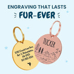 PawFurEver Personalized Dog Tags Engraved - Image 2