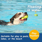 Squeaky Tennis Balls for Dogs - Image 5